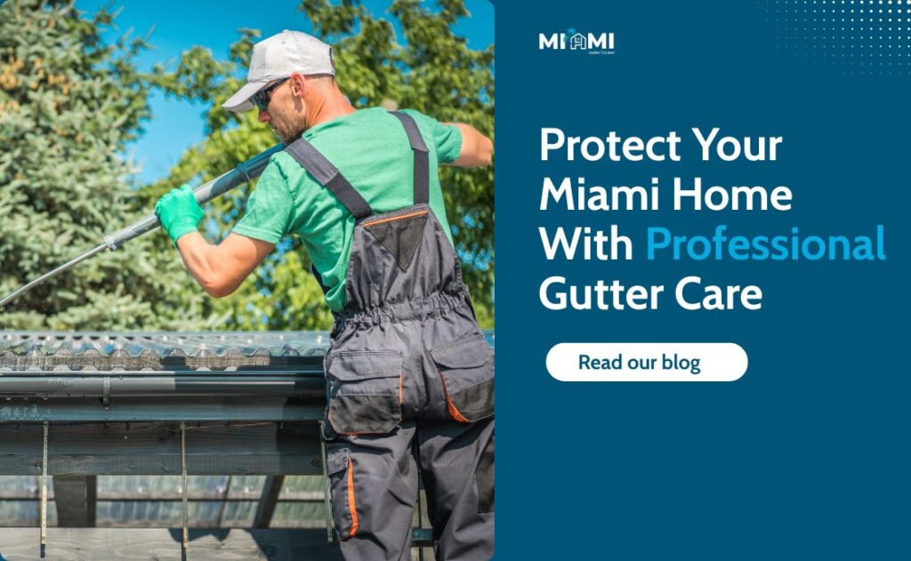 Gutter Cleaning service guide