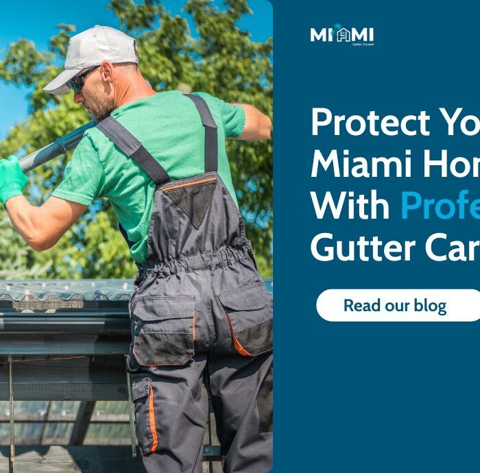 Gutter Cleaning service guide